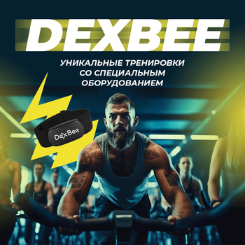 DEXBEE - уникальные тренировки со специальным оборудованием